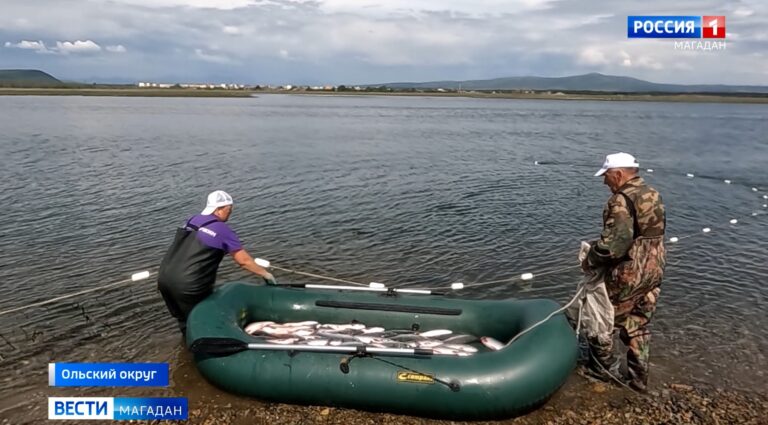 Родовые общины Магаданской области приступили к вылову лосося
