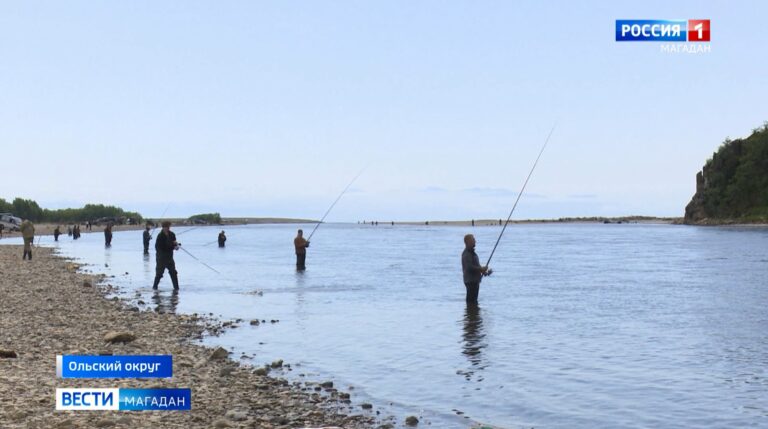 Рекордное количество горбуши зашло в реки Колымы