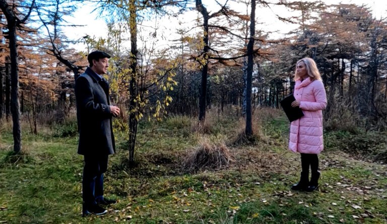 Иван Чепкасов, руководитель регионального отделения "Волонтеры леса" рассказал о приживаемости сеянцев в колымском грунте