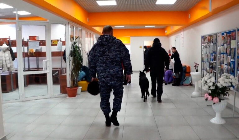 Росгварейцы со служебными собаками проверили избирательные участки Магадана