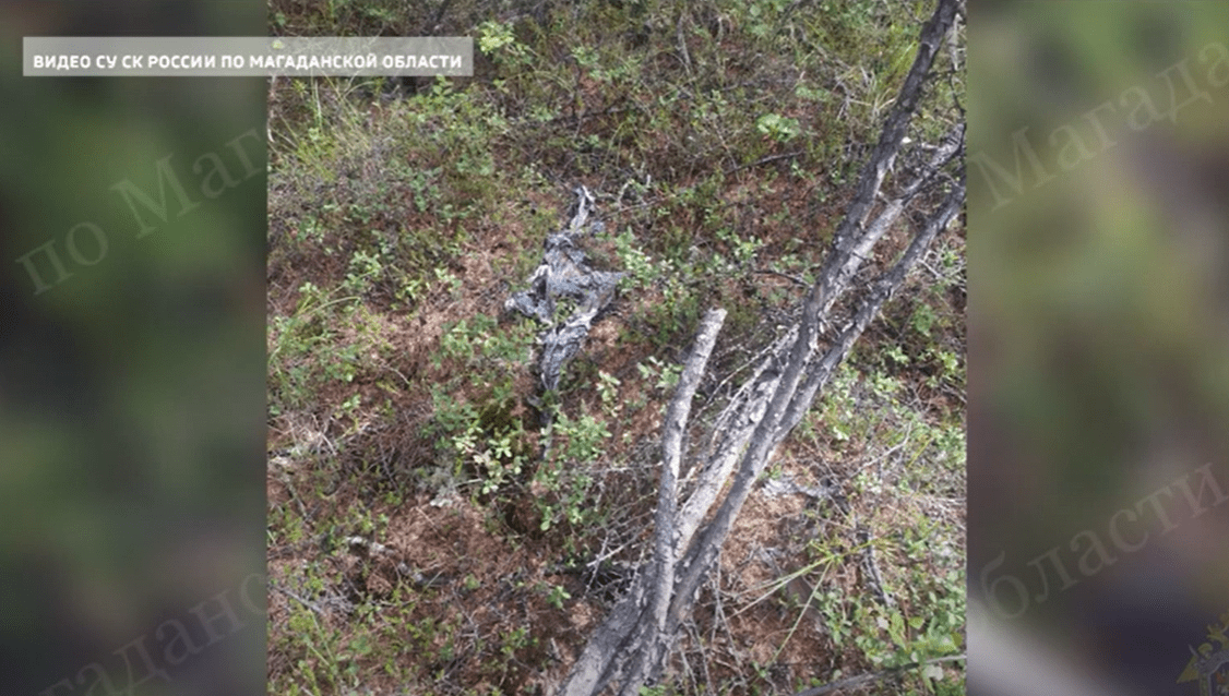 Останки человека обнаружены в лесу возле Уптара