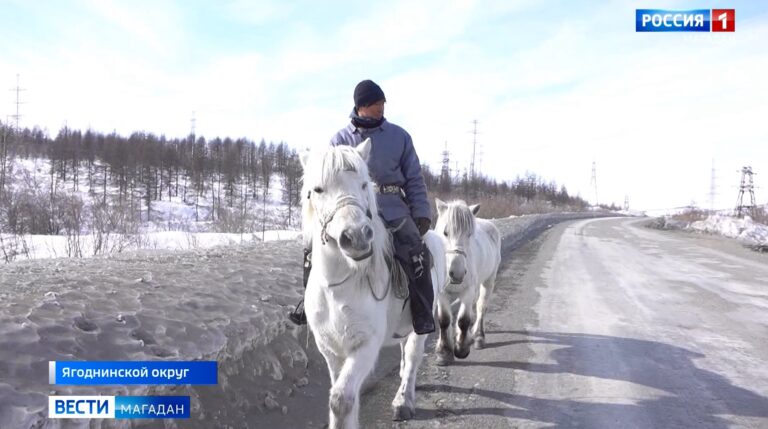 Якутский путешественник на лошадях приближается к поселку Сеймчан