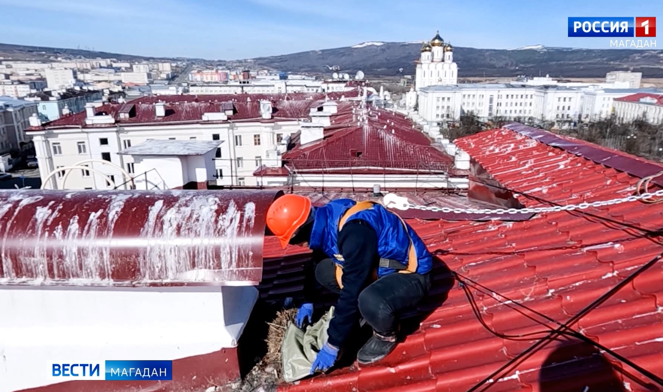 Коммунальщики убирают гнезда чаек с крыш домов Магадана