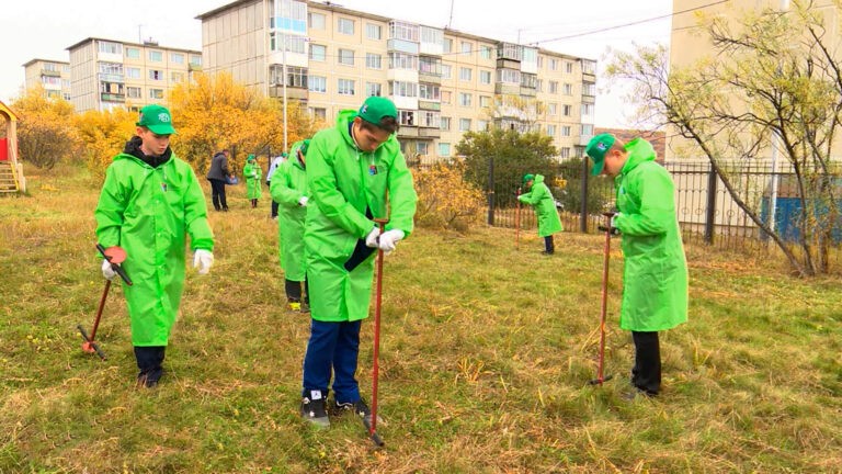 300 сеянцев вечно зеленых деревьев высадили в школах Магадана